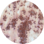 質量不達標 . 使用壽命短 質量不達標 . 使用壽命短